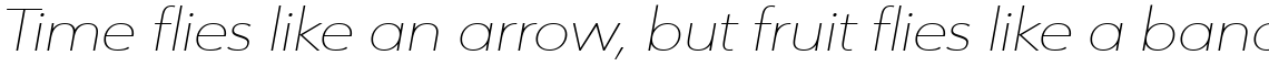 URW Form Expand Thin Italic