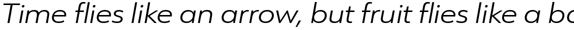 URW Form Expand Light Italic