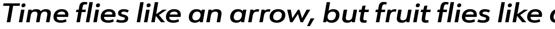 URW Form Expand Demi Italic