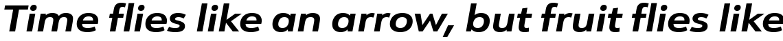 URW Form Expand Bold Italic