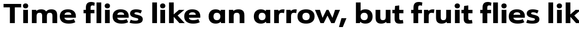 URW Form Expand ExtraBold