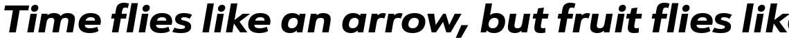 URW Form Expand ExtraBold Italic