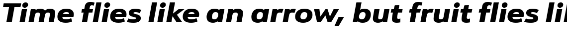 URW Form Expand Heavy Italic