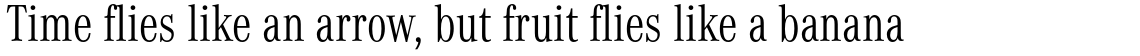 Corporate A Pro Condensed Light