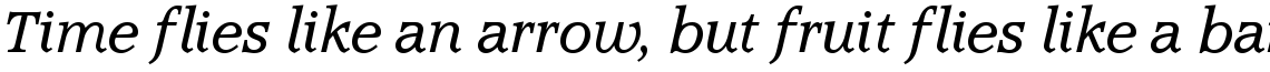 Accolade light italic