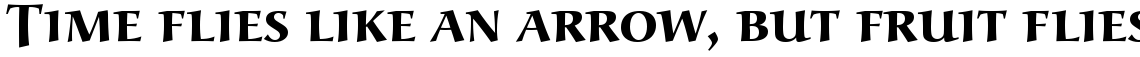 URW Alcuin DisCaps bold (D)