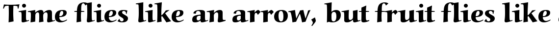 URW Alcuin extra bold