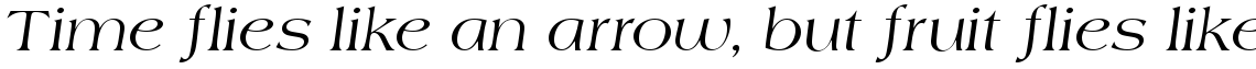 Americana regular italic