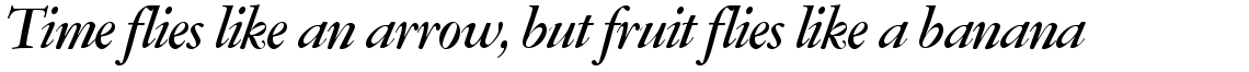 Amsterdamer Garamont medium italic (P)