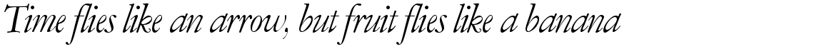 Amsterdamer Garamont regular italic (P)