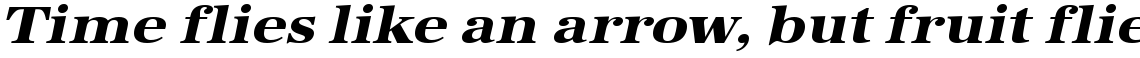 URW Antiqua extra bold extra wide oblique