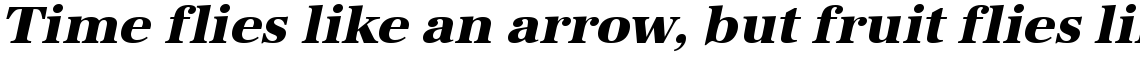 URW Antiqua extra bold oblique