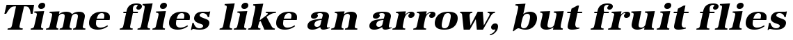URW Antiqua extra bold wide oblique