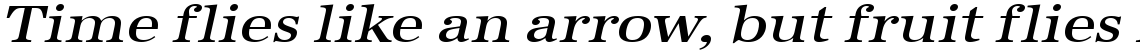 URW Antiqua medium extra wide oblique
