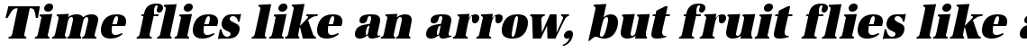 URW Antiqua ultra bold extra narrow oblique