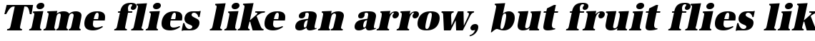 URW Antiqua ultra bold narrow oblique