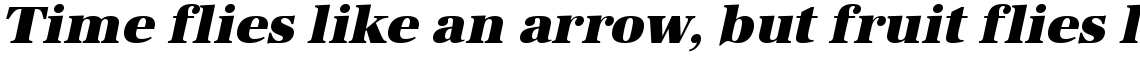 URW Antiqua ultra bold oblique