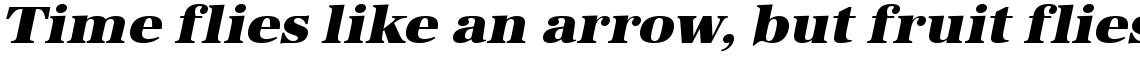 URW Antiqua ultra bold wide oblique