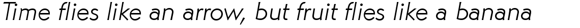 URW Martin Gothic light italic