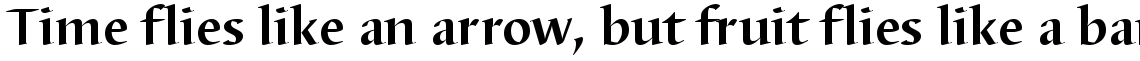 Barbedor bold