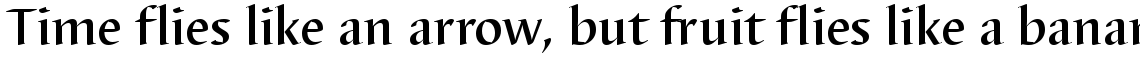 Barbedor medium