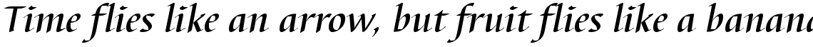 Barbedor medium italic
