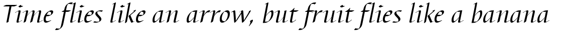 Barbedor regular italic