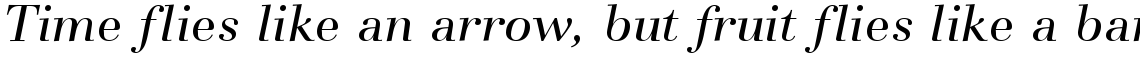 Basilia regular italic
