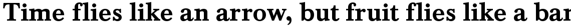 Baskerville medium