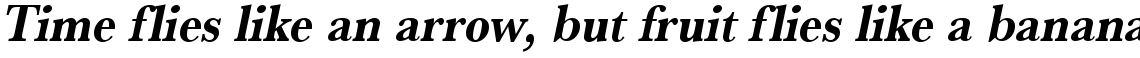URW Baskerville bold extra narrow oblique