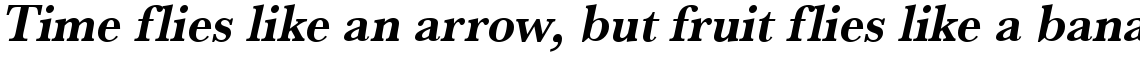 URW Baskerville bold narrow oblique