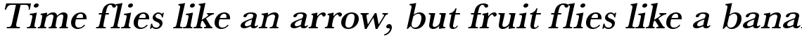 URW Baskerville medium oblique
