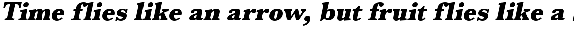 URW Baskerville ultra bold narrow oblique