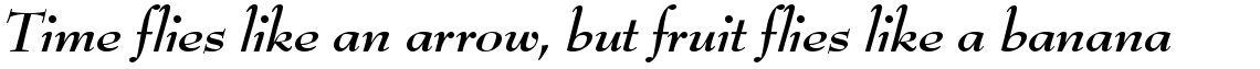 URW Bernhard Modern bold italic