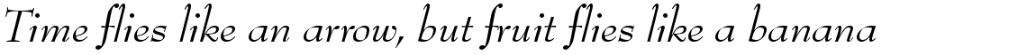 URW Bernhard Modern italic