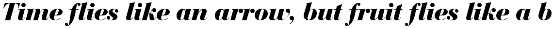 Bauer Bodoni bold italic (D)