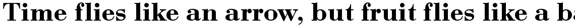 Bauer Bodoni demi bold