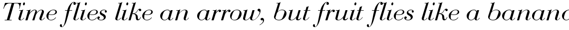 Bauer Bodoni regular italic (D)