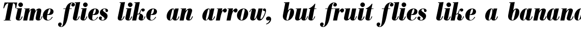Bodoni Antiqua bold condensed italic