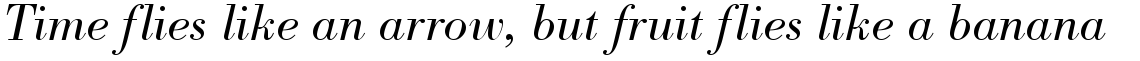 Bodoni Antiqua light italic