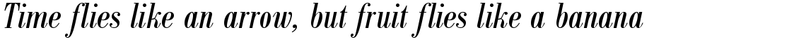 Bodoni Antiqua regular condensed italic
