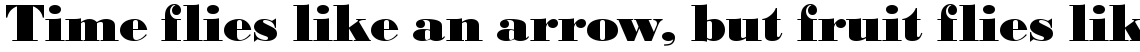 Bodoni black (D)
