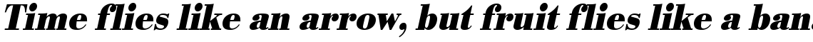 URW Bodoni bold extra narrow oblique