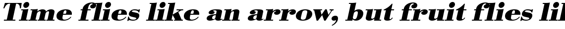 URW Bodoni bold extra wide oblique