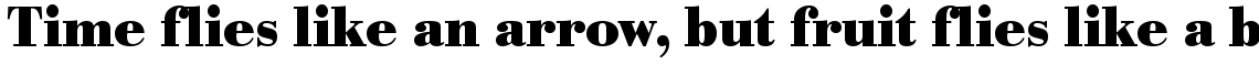 URW Bodoni bold narrow