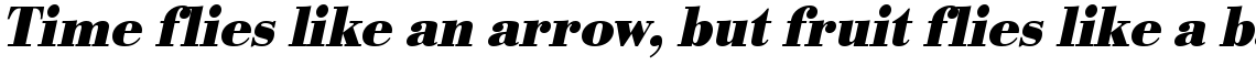 URW Bodoni bold narrow oblique