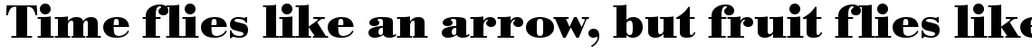 URW Bodoni bold wide