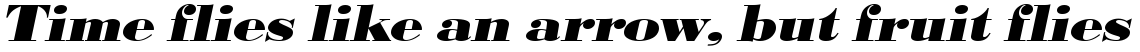 URW Bodoni extra bold extra wide oblique (D)