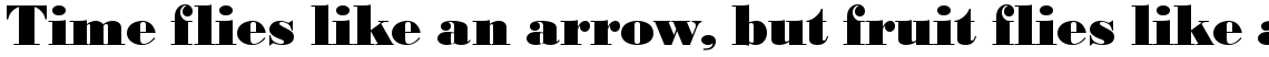 URW Bodoni extra bold narrow (D)
