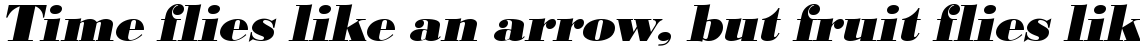 URW Bodoni extra bold oblique (D)